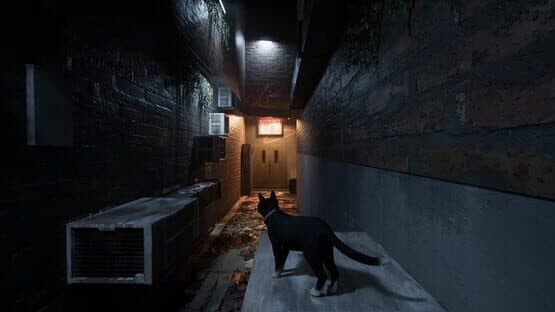 Project Paws — screenshot 2