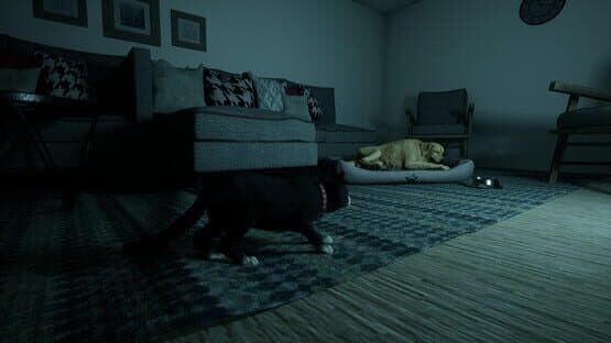 Project Paws — screenshot 3