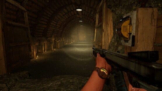 The Shaft — screenshot 4