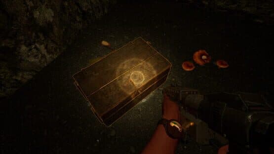 The Shaft — screenshot 5