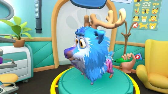 Pets & Stuff — screenshot 8