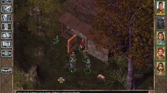 Baldur's Gate II: Throne of Bhaal — screenshot 7