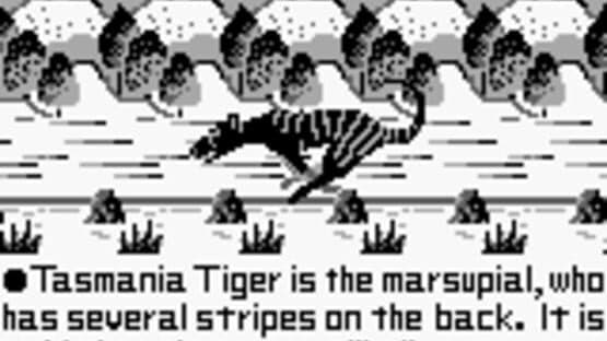 Tasmania Story — screenshot 2