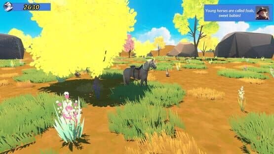 Meadow Gallop — screenshot 4