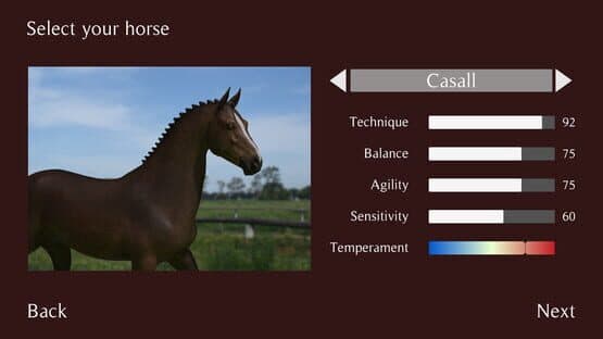 Pro Show Jumping — screenshot 4