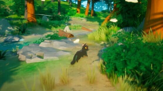 Paws Trail — screenshot 1
