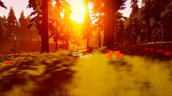Paws Trail — screenshot 2