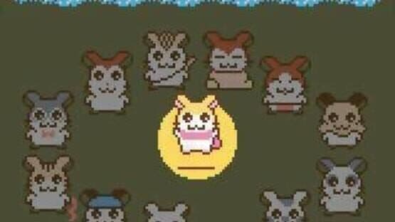 Tottoko Hamtaro: Tomodachi Daisakusen Dechu — screenshot 2