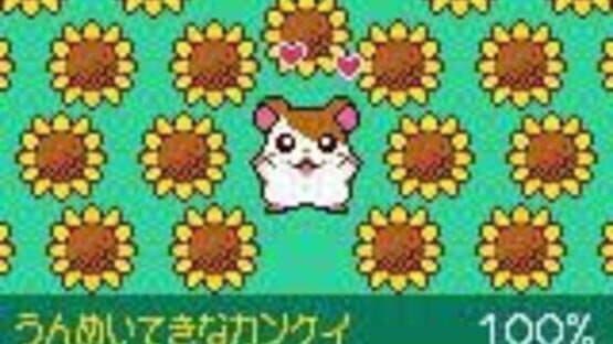 Tottoko Hamtaro: Tomodachi Daisakusen Dechu — screenshot 3