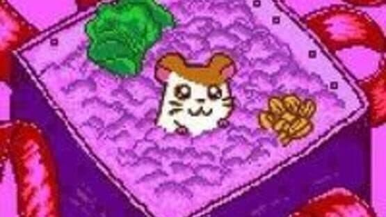 Tottoko Hamtaro: Tomodachi Daisakusen Dechu — screenshot 5