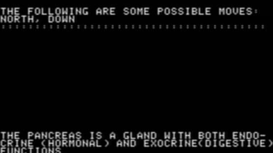 Adventures in Flesh — screenshot 1