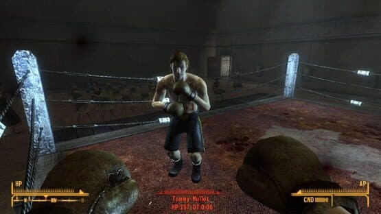 King of the Ring — screenshot 4