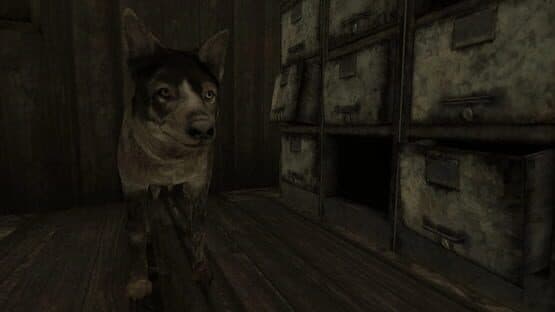 New Vegas Killer — screenshot 5