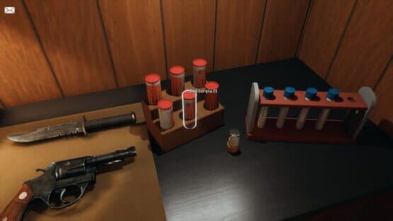 Wolf Peak: The Case of Ruth Choi — screenshot 5
