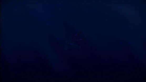 Way To Fall — screenshot 1
