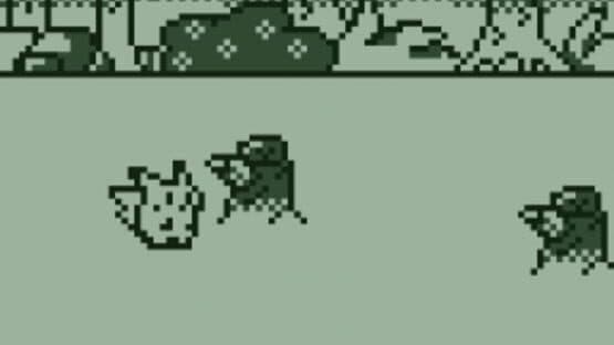 Wooloo's Run Away — screenshot 2