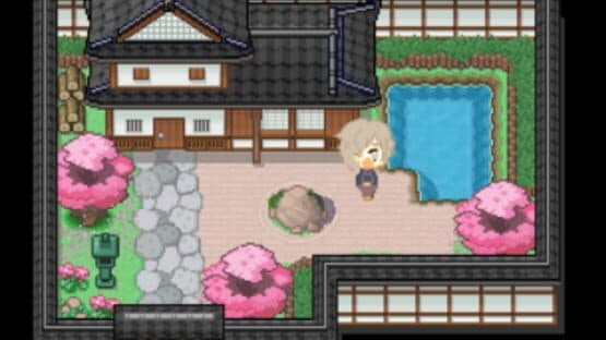 Koi — screenshot 2