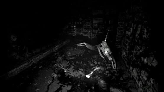 The Pony Factory — screenshot 2