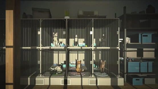 Copycat — screenshot 4