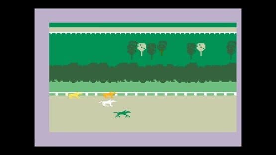 Horse Racing — screenshot 1