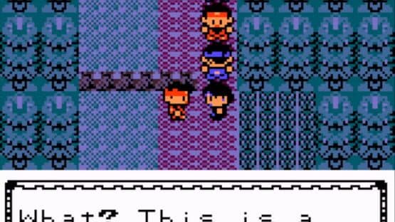 Pokemon Orb Version — screenshot 6