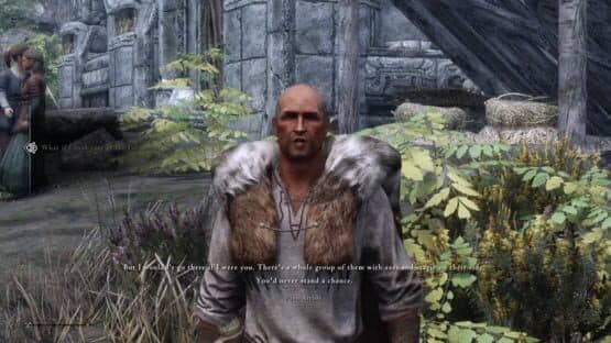 Ultimate Skyrim — screenshot 1