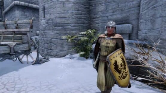 Beyond Skyrim — screenshot 2