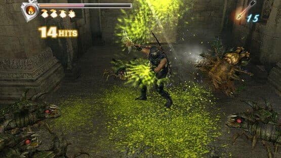Ninja Gaiden — screenshot 3
