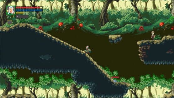 Jungle Ranger — screenshot 6
