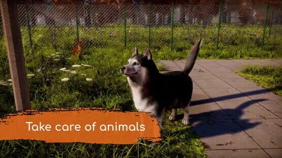 Animal Shelter 2 — screenshot 1