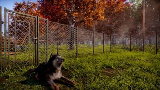 Animal Shelter 2 — screenshot 6