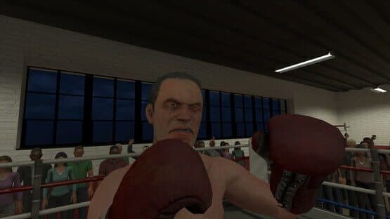 The Thrill of the Fight — screenshot 3