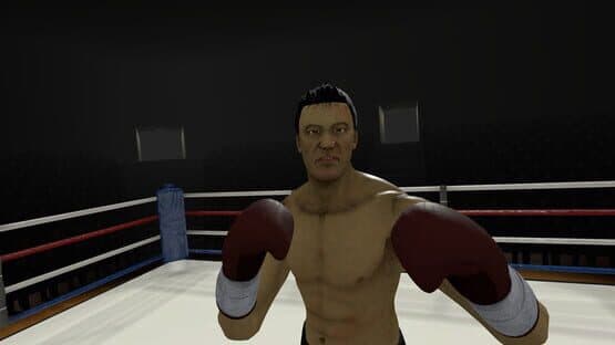 The Thrill of the Fight — screenshot 4