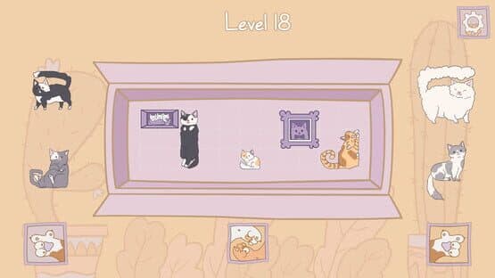 Cats in Boxes — screenshot 5