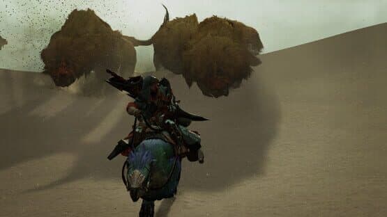 Monster Hunter Wilds — screenshot 4