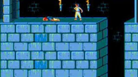 Prince of Persia — screenshot 2