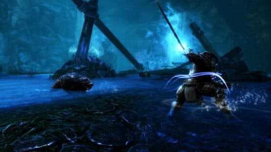 Kingdoms of Amalur: Re-Reckoning - Collector's Edition — screenshot 3