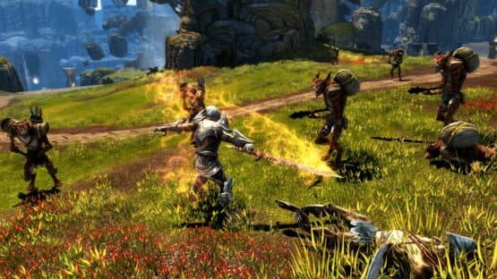 Kingdoms of Amalur: Re-Reckoning - Collector's Edition — screenshot 8