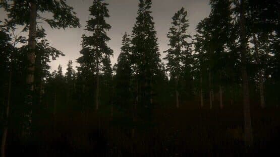 Pastor's Lake: The Game — screenshot 5