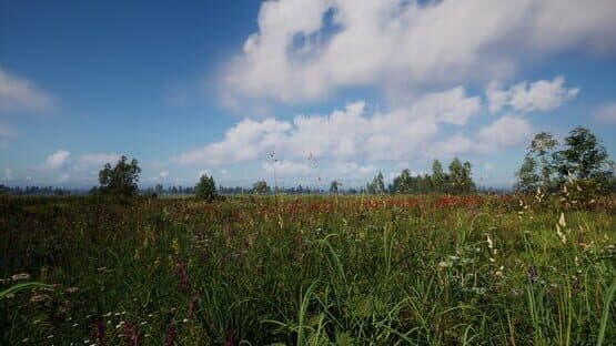Russian Soul Simulator — screenshot 1