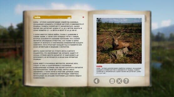 Russian Soul Simulator — screenshot 3