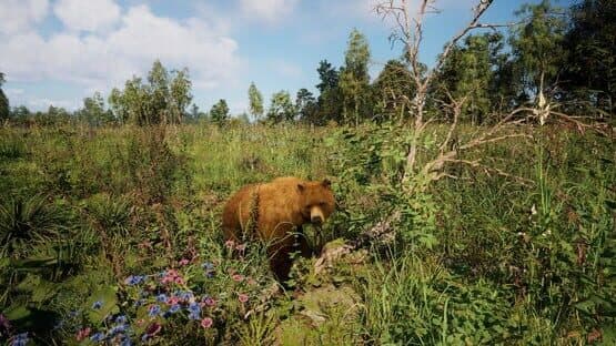 Russian Soul Simulator — screenshot 5