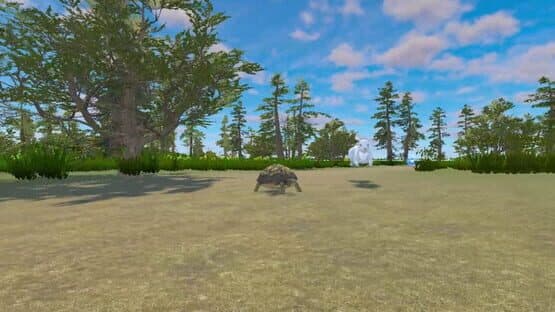 Rabbit and Turtle — screenshot 1
