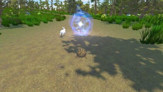 Rabbit and Turtle — screenshot 2