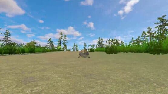 Rabbit and Turtle — screenshot 3