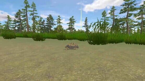 Rabbit and Turtle — screenshot 4