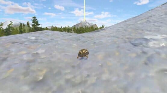 Rabbit and Turtle — screenshot 5