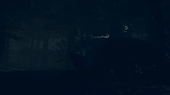The Children of The Woods: Lost Tape — screenshot 2