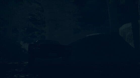 The Children of The Woods: Lost Tape — screenshot 3
