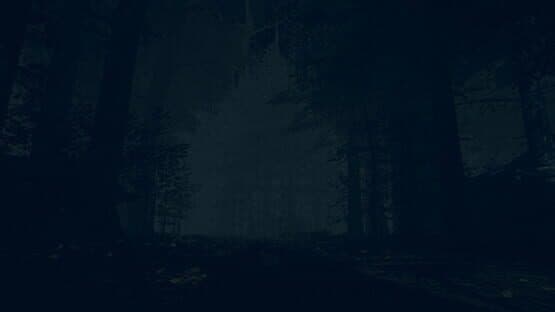 The Children of The Woods: Lost Tape — screenshot 4
